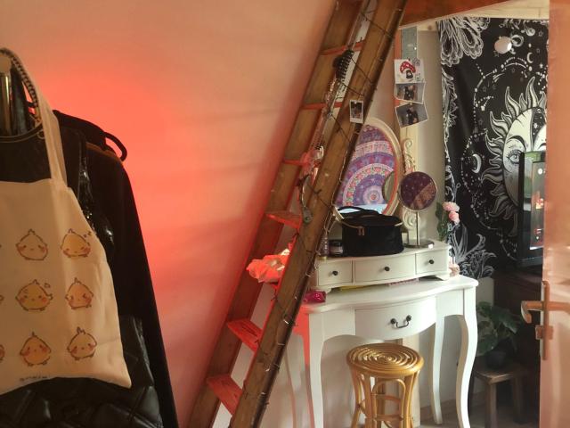 Fijne kamer met hoog plafond en tuin