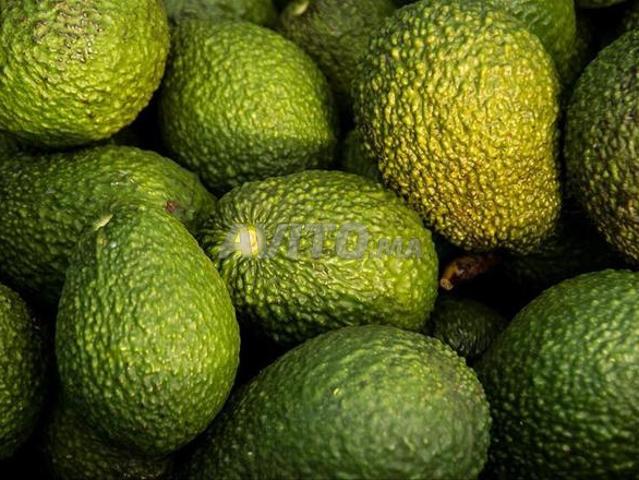 Firma d’avocade