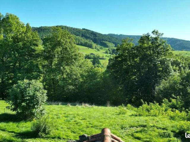 Firminy Vente Terrain 42