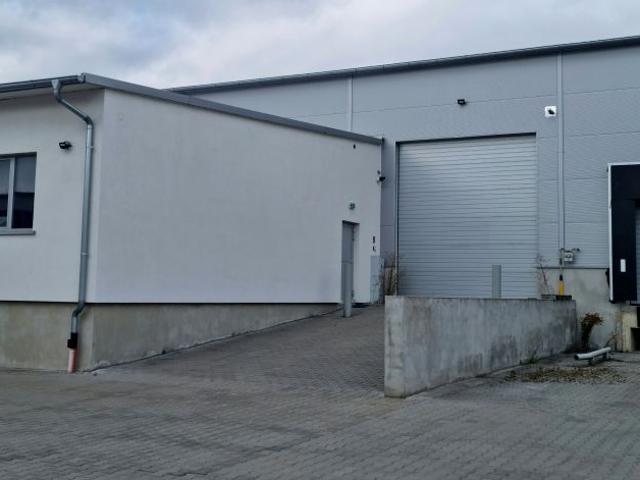 Firmowa 517 m², Robakowo