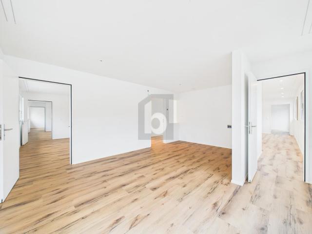 Firm/medical offices with 10 rooms for rent in Gelterkinden 227 m² | dreamo. Ch