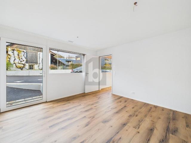 Firm/medical offices with 10 rooms for rent in Gelterkinden 227 m² | dreamo. Ch