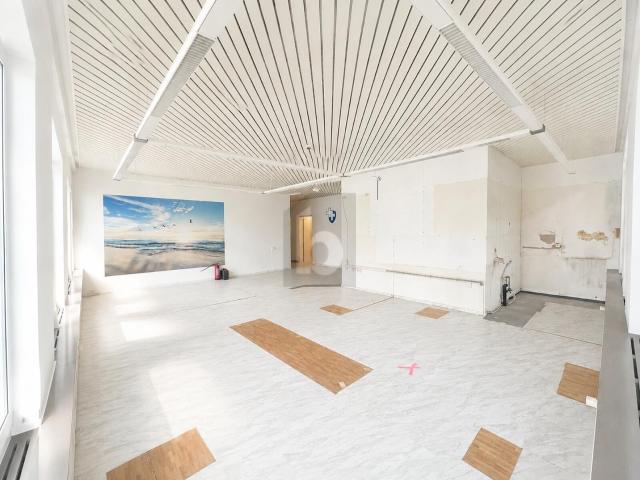 Firm/medical offices with 4.5 rooms for rent in Dietikon 139 m² | dreamo. Ch