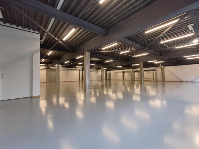 Office space with 4 rooms for rent in Rüti ZH 444 m² | dreamo. Ch