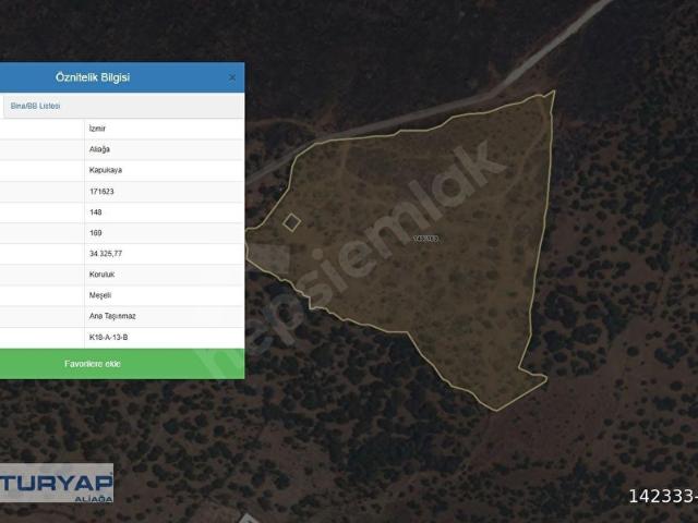 FIRSAT ALİAĞA KAPUKAYA KÖYÜNDE SATILIK TARLA