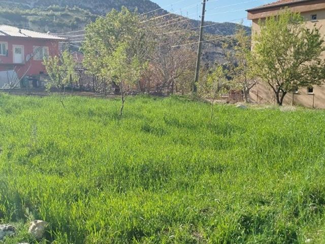 FIRSAT! SATILIK BAHÇE