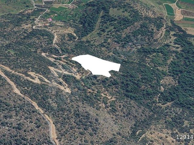 FIRSAT  SEYDİKEMER YAKABAĞ'DA 15.683M2. TARLA