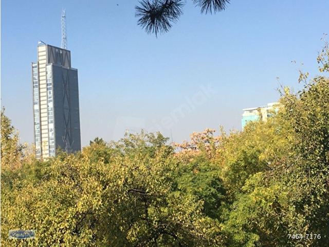 FIRSATLAR 1348 M2 TEK TAPU İMARLI 5555555TL 6520 M2 DE 450M2 ÇOKKATLIDA 7555555TL