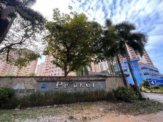 First hand property and renovated Pelangi Damansara near MRT station