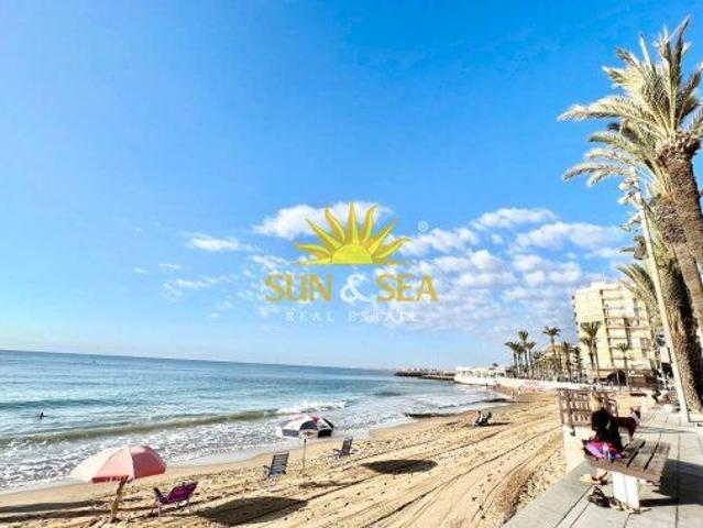 FIRST LINE RENT IN TORREVIEJA ALICANTE