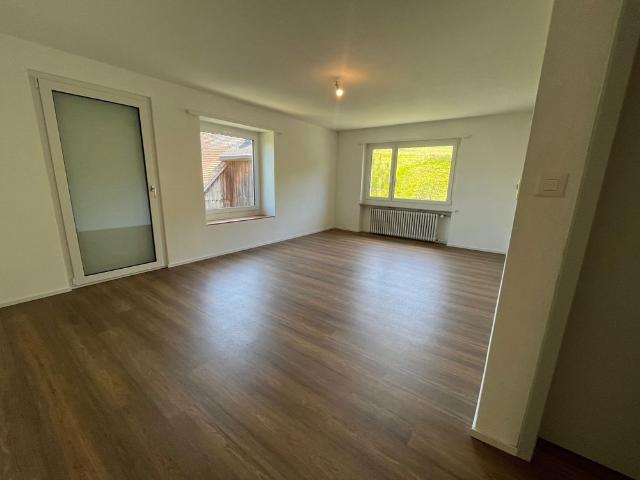 First occupancy after total renovation – stylish 4.5 room apartment with a fantastic view