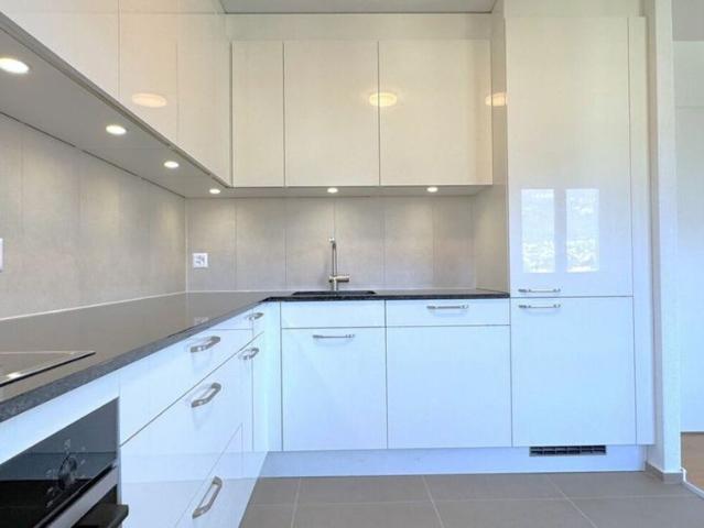 FIRST LETTING 4.5 ROOM APARTMENT 140 m2 – completely renovated – 3 balconies – quiet location in Solothurn