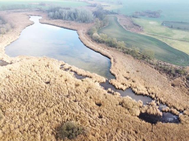 Fischgewässer in der Uckermark: mit Zugangsgrundstücken zum Wollenthinsee ca. 2,50 Meter tief