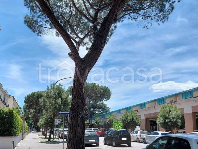 Fittasi appartamento a Benevento viale degli Atlantici