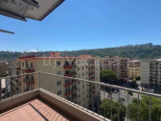 Fittasi quadrilocale a Napoli, Fuorigrotta