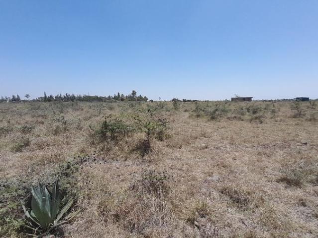 Five Acres of Land for Sale At Sholinke Area