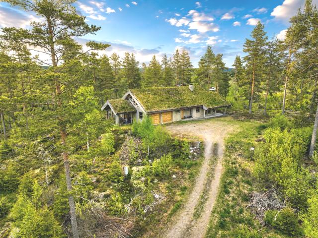 Fjäll Tallåsen 1