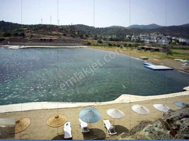 Foça Olivia Village Tatil Köyü Konseptli Manzaralı Bahçeli 1+1
