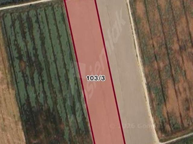FOÇA bağarasına yakın 17.500 metre tek tapu uygu fiyat