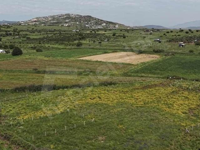 foça köy villalara komşu olan 395 m satılık tarla