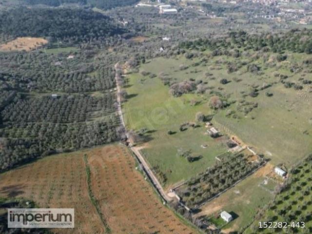 FOÇA KOZBEYLİ SATILIK TARLA