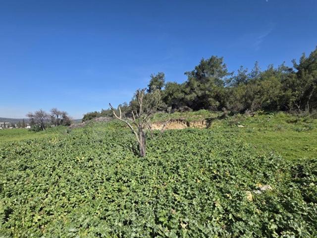 Foça ılıpınar akyer ler mevkii 175 m2 müstakil tapu