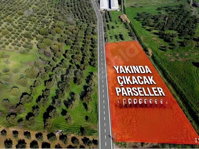 Foça ılıpınar köyüne yürüme mesafesi satılık tarla