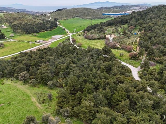 FOÇA YENİKÖY'DE DOĞA İLE İÇ İÇE SATILIK TARLA