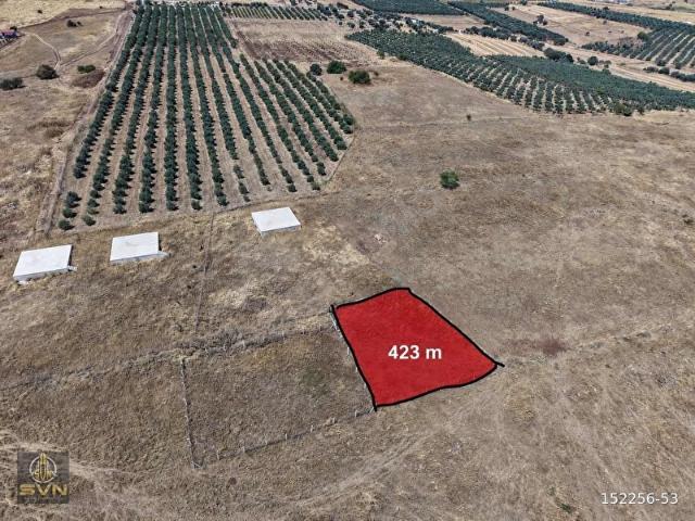 Foça yenibağarasında Deniz manzaralı tarla