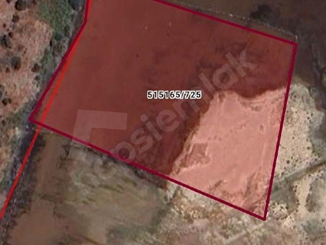 Foça Yenibağarası Karaağaç Mevkiinde Satılık 263 Metrekare Hisseli Tapu Parsel Tarla Hünkar Emlaktan