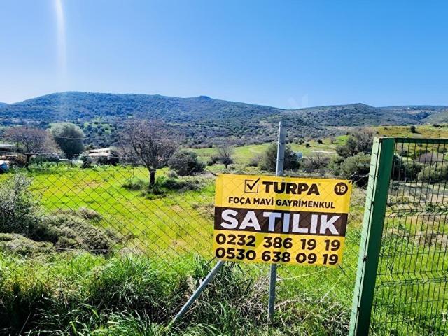 FOÇA ZEYTİNKÖY'DE ÇİTLE ÇEVRİLİ MÜSTAKİL TAPULU SATILIK TARLA