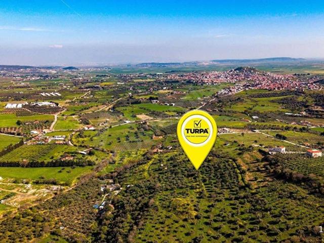 Foça Zeytinköy bahçecikte satılık tektapu arazi
