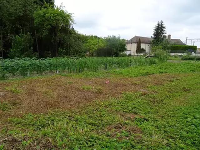 Fontaines 71150 Achat / Vente terrain