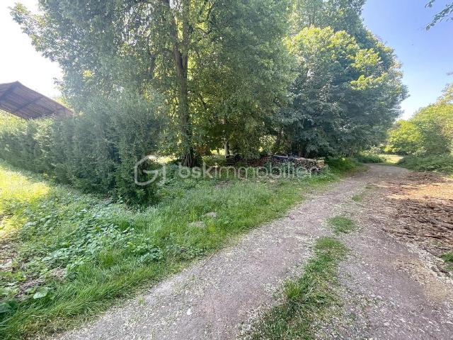 Fontenay sur Loing Vente Terrain 45