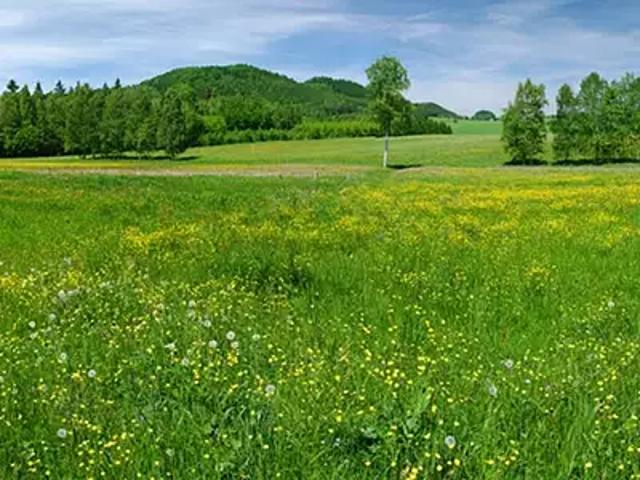 Fontenilles 31470 Programme neuf terrain neuf à vendre
