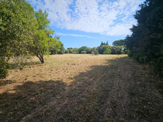 Fontvieille Vente Terrain 13