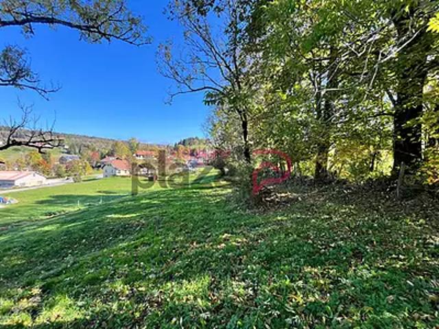 Foncine le Haut 39460 Achat / Vente terrain