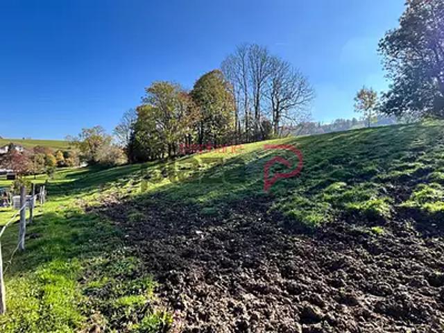 Foncine le Haut 39460 Achat / Vente terrain