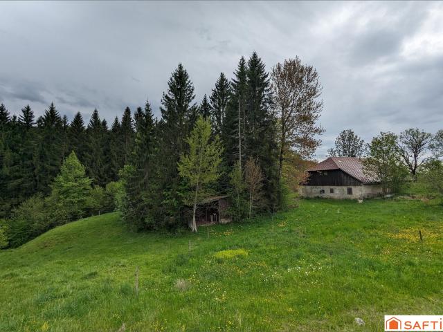 Foncine le Haut Vente Maison 39