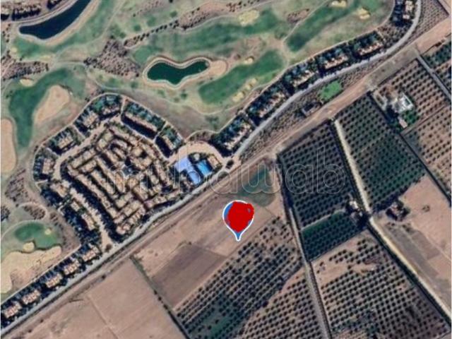 Foncier Rare 6,5 Ha Route d’Ourika 350 DH/m²