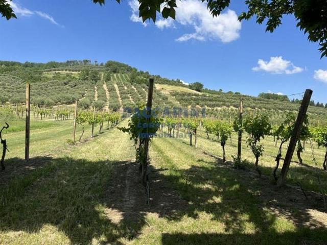 FONDO AGRICOLO CANOVA BRISIGHELLA VIA FAENTINA VICINO AL CIVICO 95