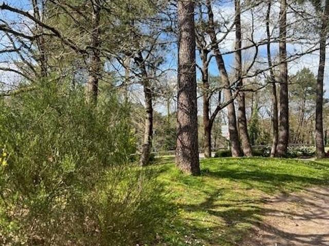 Fonds et/ou murs commerciaux à vendre à Vannes 56000