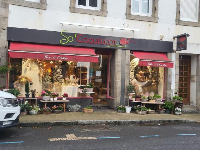 Fonds et/ou murs commerciaux à vendre à Roscoff 29680