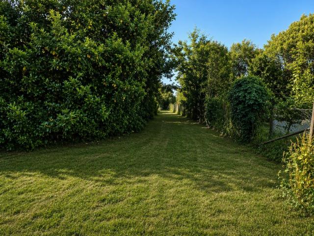 Fongrave Vente Terrain 47