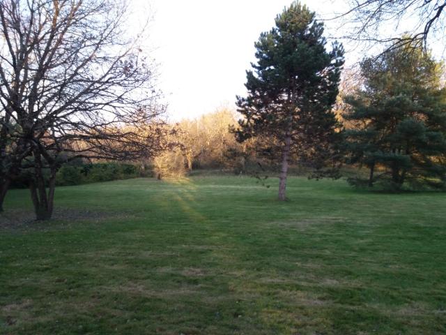 Fonsorbes Vente Terrain 31