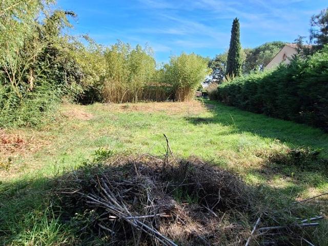Fonsorbes Vente Terrain 31