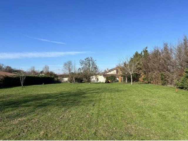 Fonsorbes Vente Terrain 31