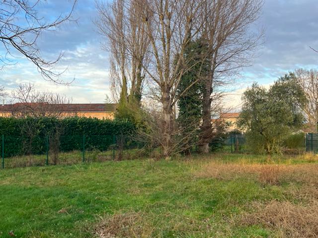 Fonsorbes Vente Terrain 31