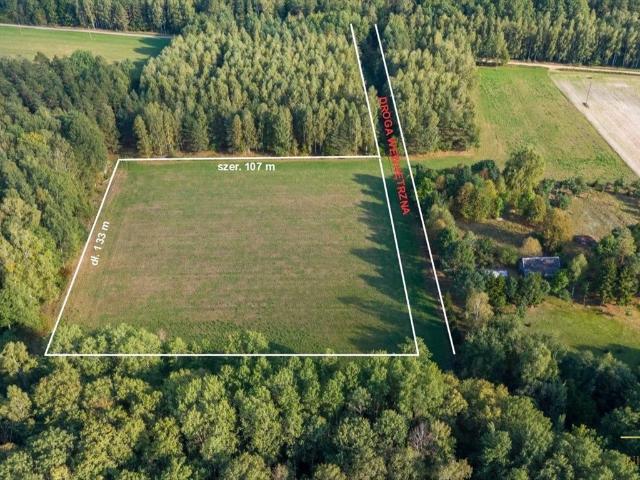Działka 14 250 m² w Folwarkach Małych z lasem i mediami