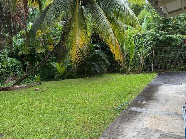 Fort de France Appartement Studio